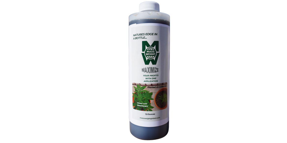 Mass Weight 16oz Bottle