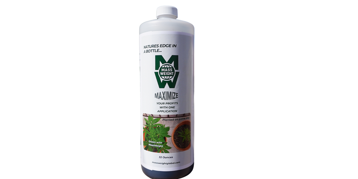Mass Weight 32oz Bottle
